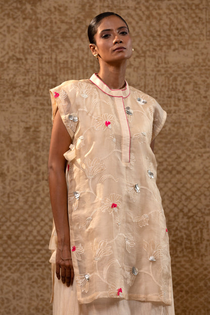 Taral A-Line Organza Applique Dress - Off-White