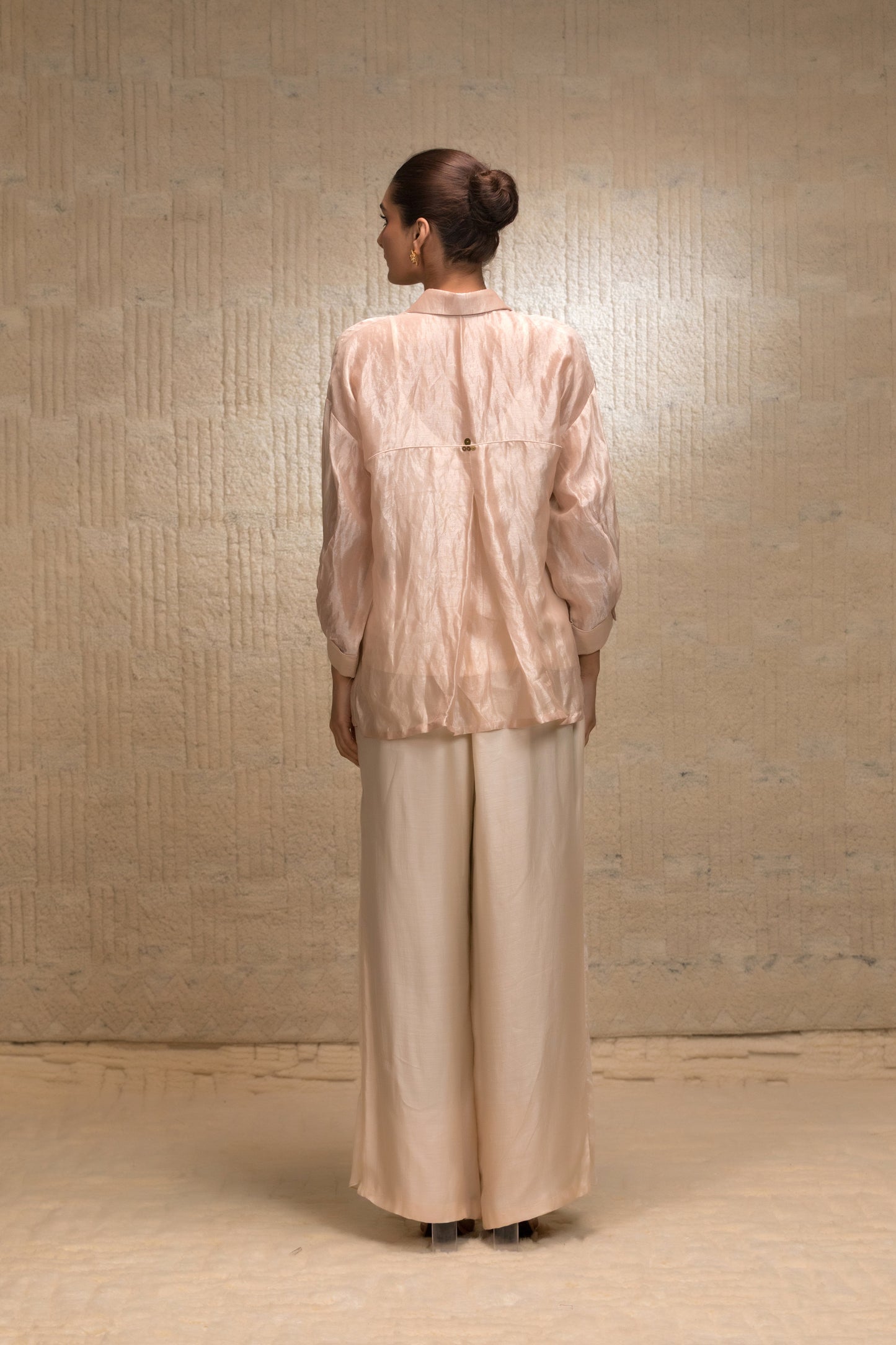 Back View of banarasi tissue cord set 