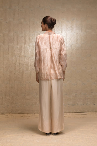 Back View of banarasi tissue cord set 