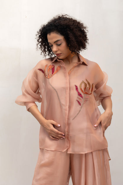 Contemporary sheer peach organza party-wear shirt with tissue appliqué — Eeda Spotlight